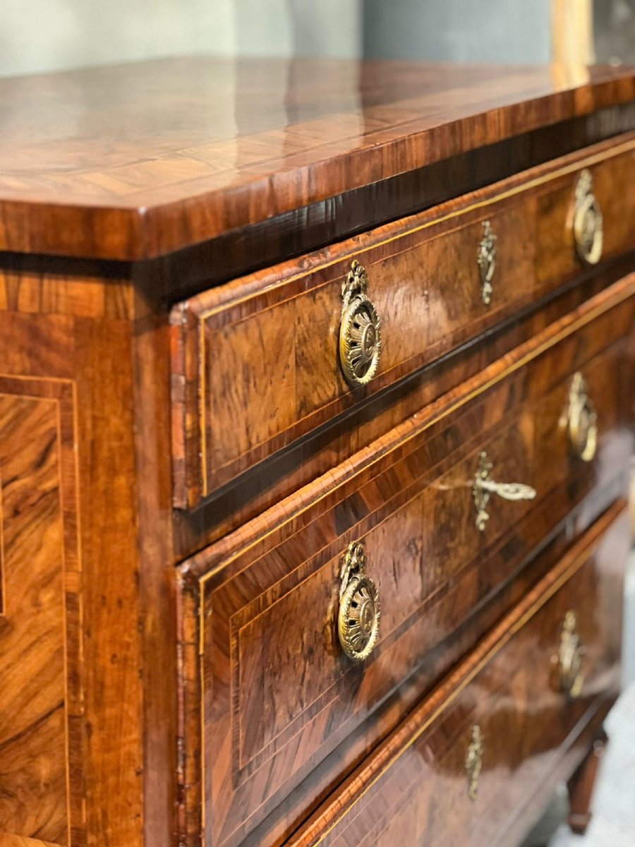 Coppia di cassettoni Luigi XVI-photo-2