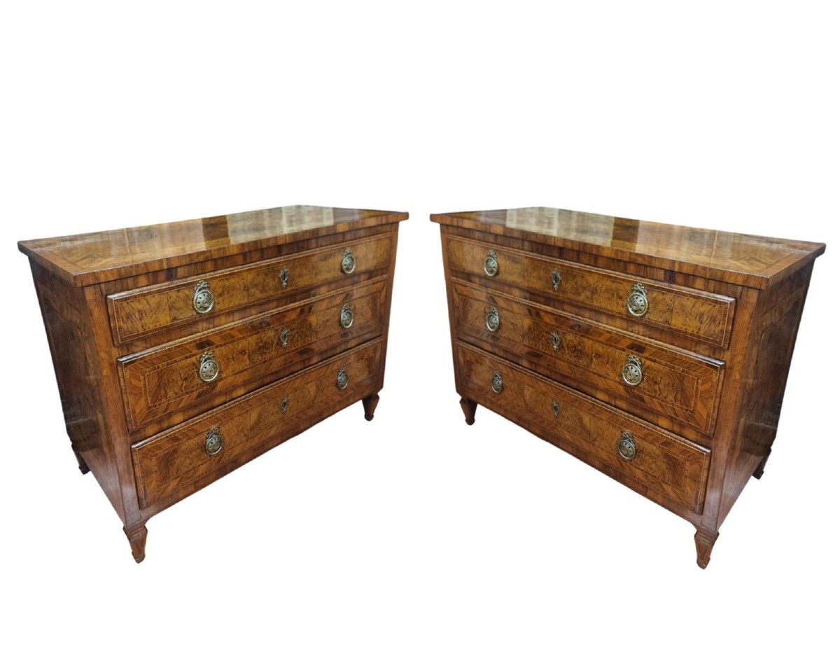 Coppia di cassettoni Luigi XVI