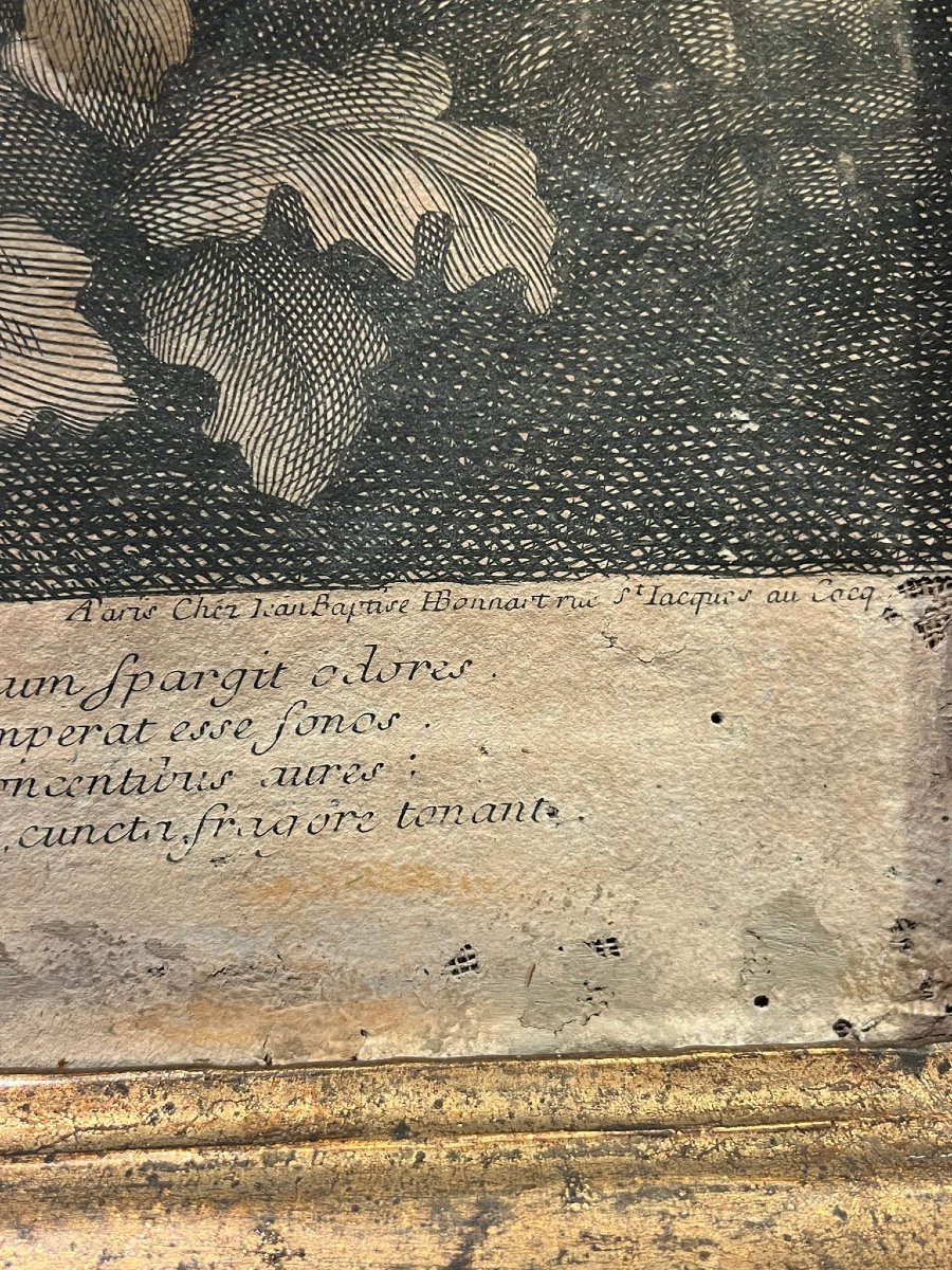 Gruppo di incisioni con colorazione-photo-2