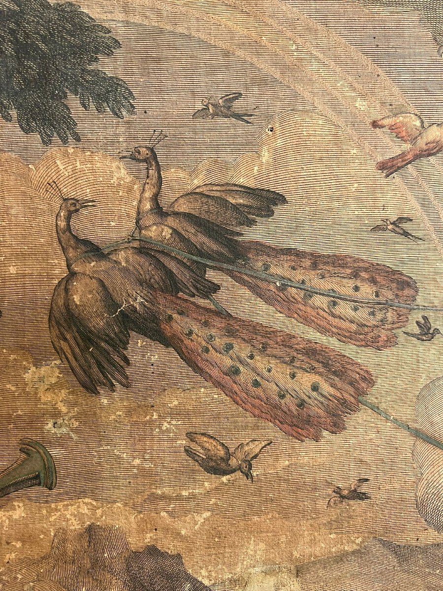 Gruppo di incisioni con colorazione-photo-3