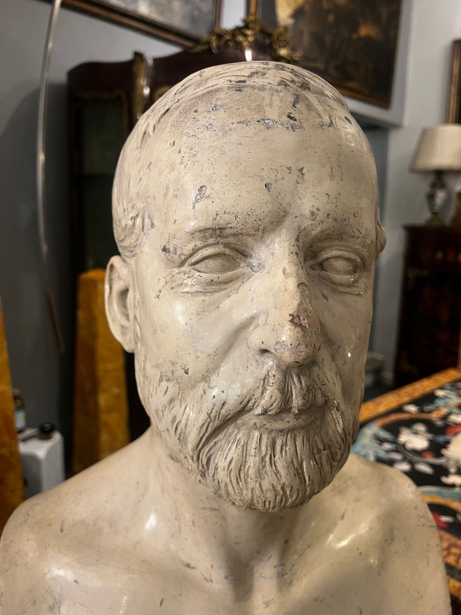 Busto virile in gesso-photo-3