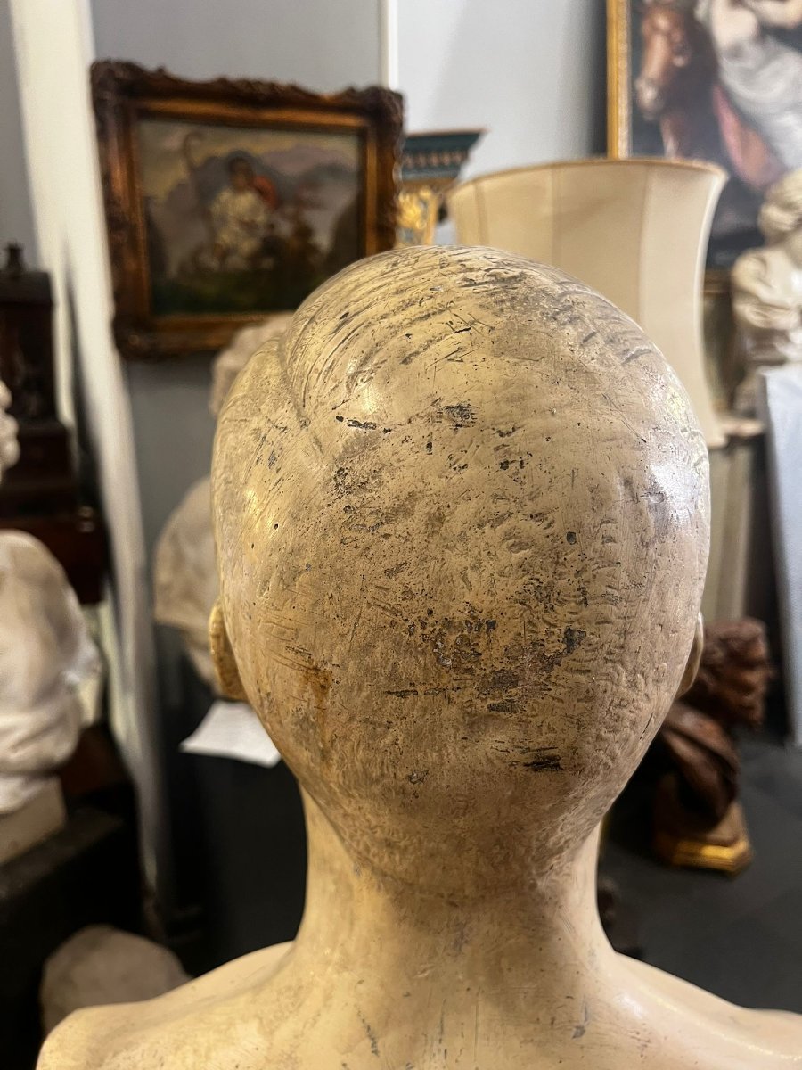 Busto virile in gesso-photo-1