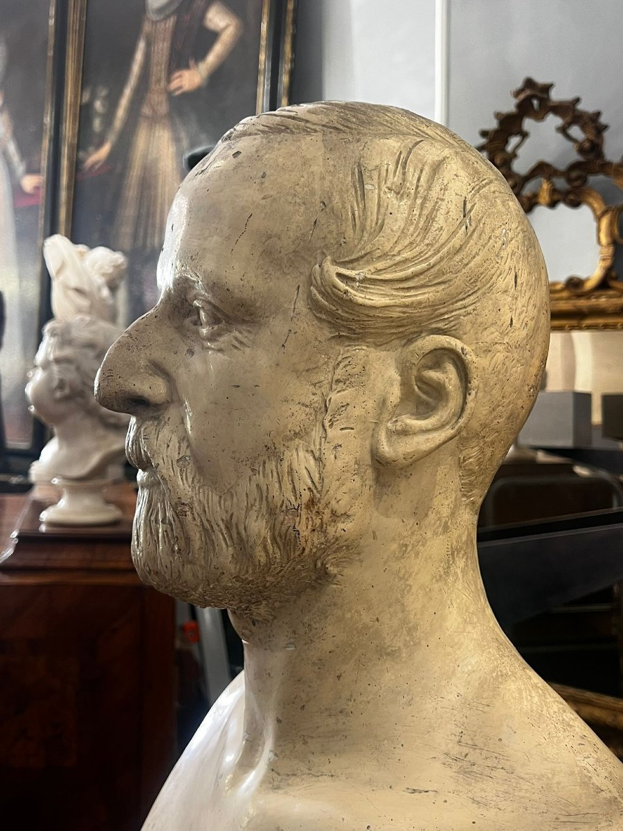 Busto virile in gesso-photo-3