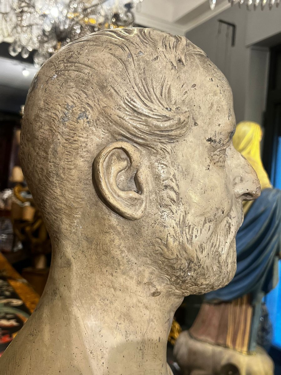 Busto virile in gesso-photo-4