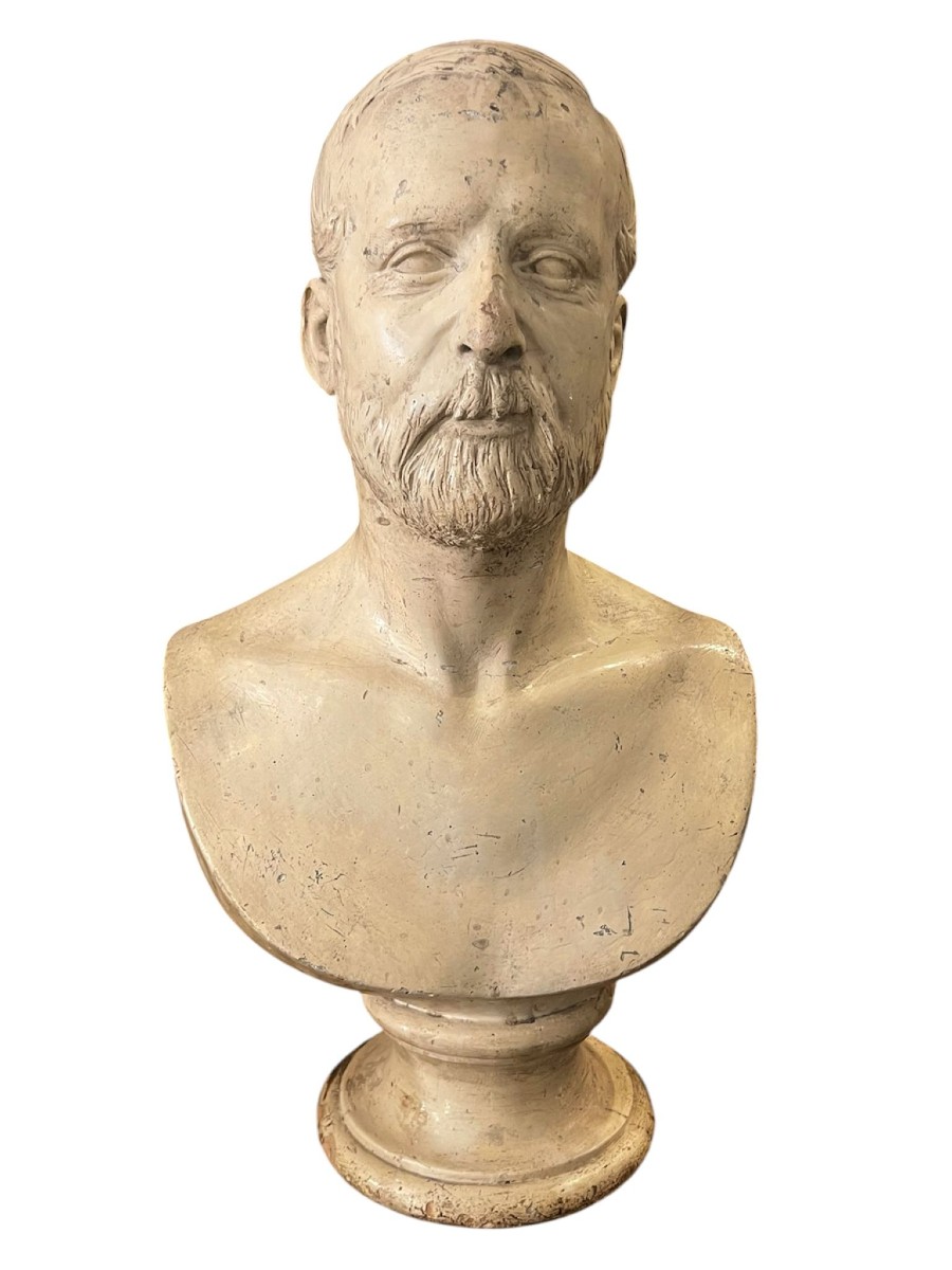 Busto virile in gesso