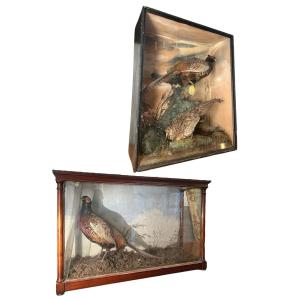 Coppia di teche decorative in vetro