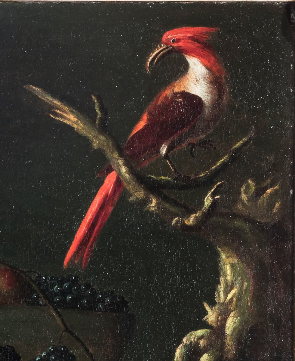 Carlo Antonio Crespi, Natura morta con frutta, un'anfora e un pappagallo-photo-4