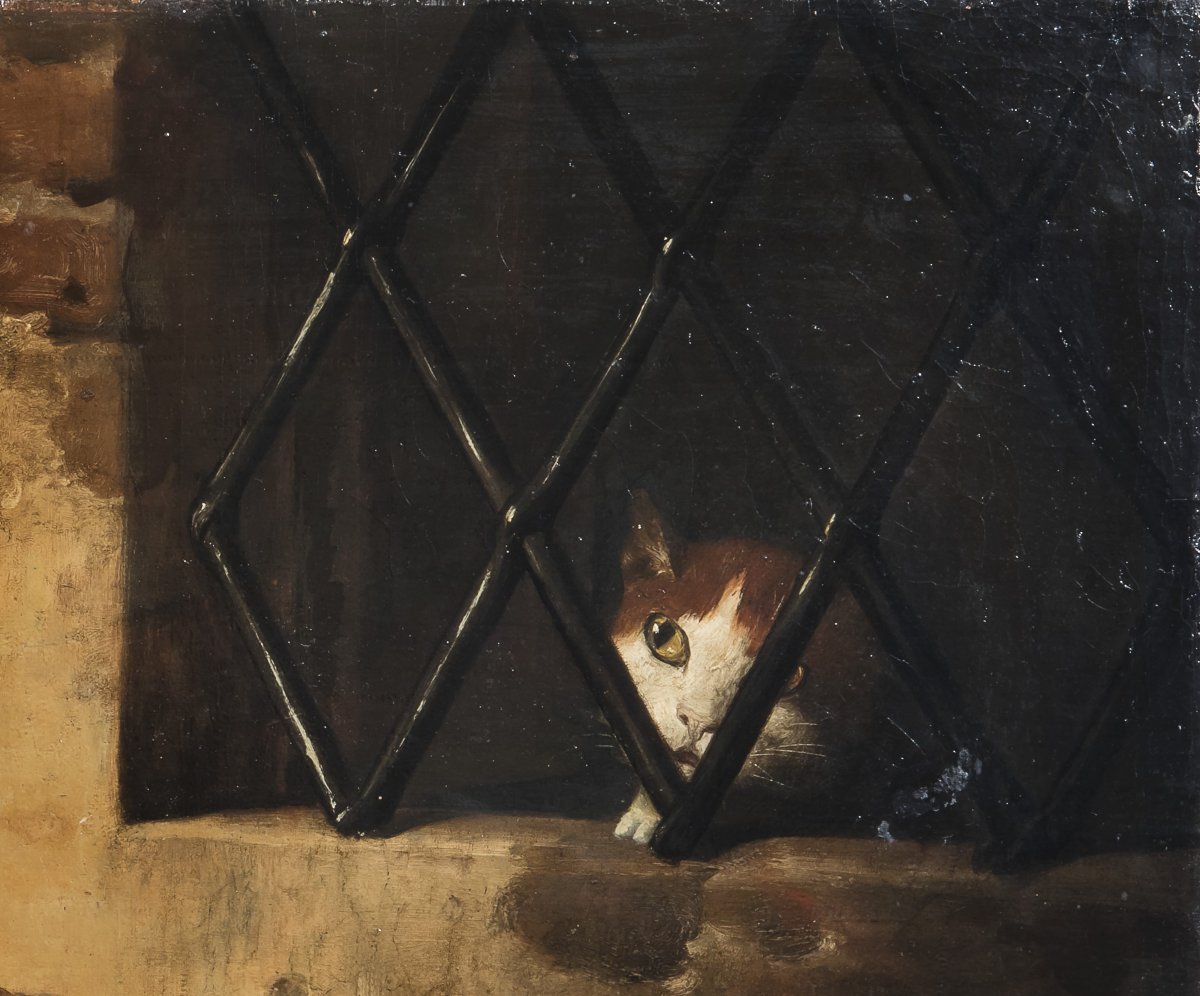 Giovan Francesco Briglia, Interno di dispensa con selvaggina di penna e gatto-photo-2