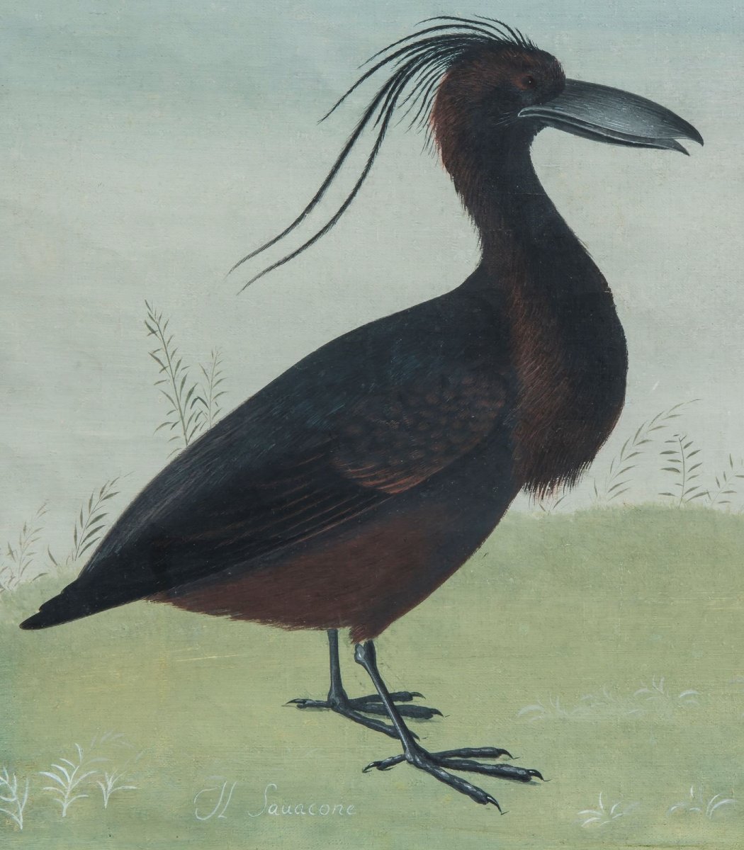 Pittore Lombardo della fine del XVIII /inizi del XIX secolo (maniera dei Raineri) "Savacone"-photo-2