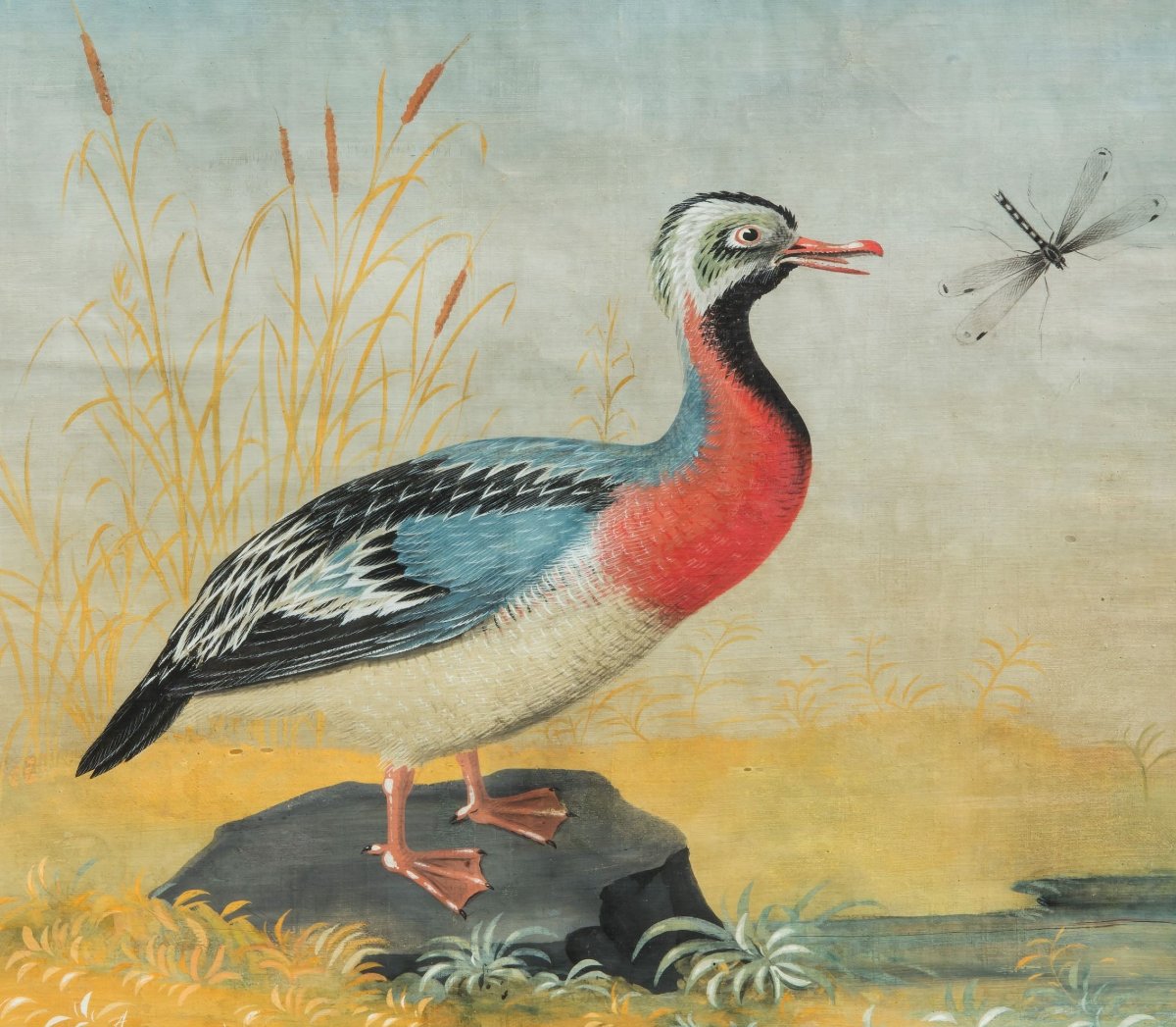 Pittore della fine del XVIII /inizi del XIX secolo (maniera dei Raineri) Fregata con libellula-photo-2