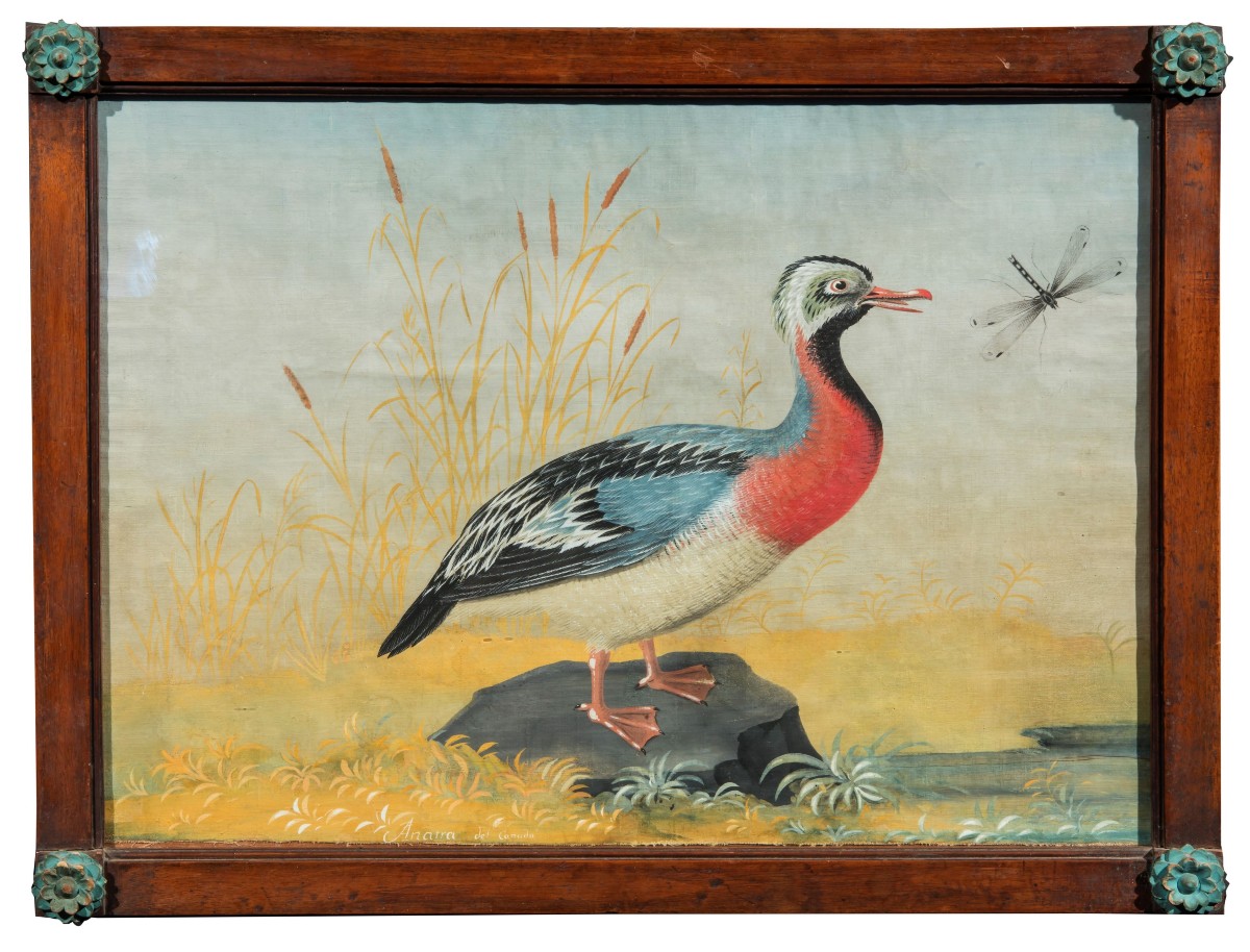 Pittore della fine del XVIII /inizi del XIX secolo (maniera dei Raineri) Fregata con libellula