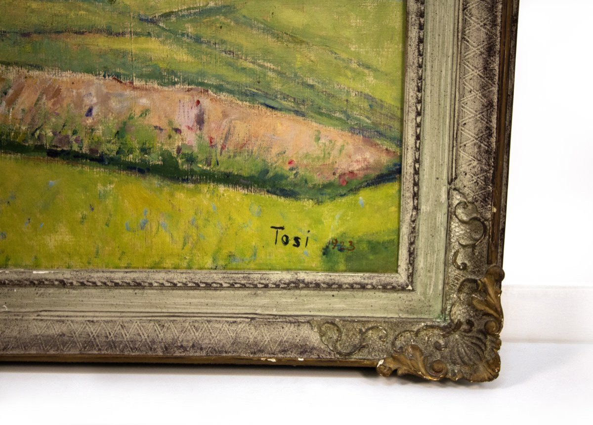 Arturo Tosi (Busto Arsizio, 1871 - Milano, 1956) "Barzesto", 1923-photo-3
