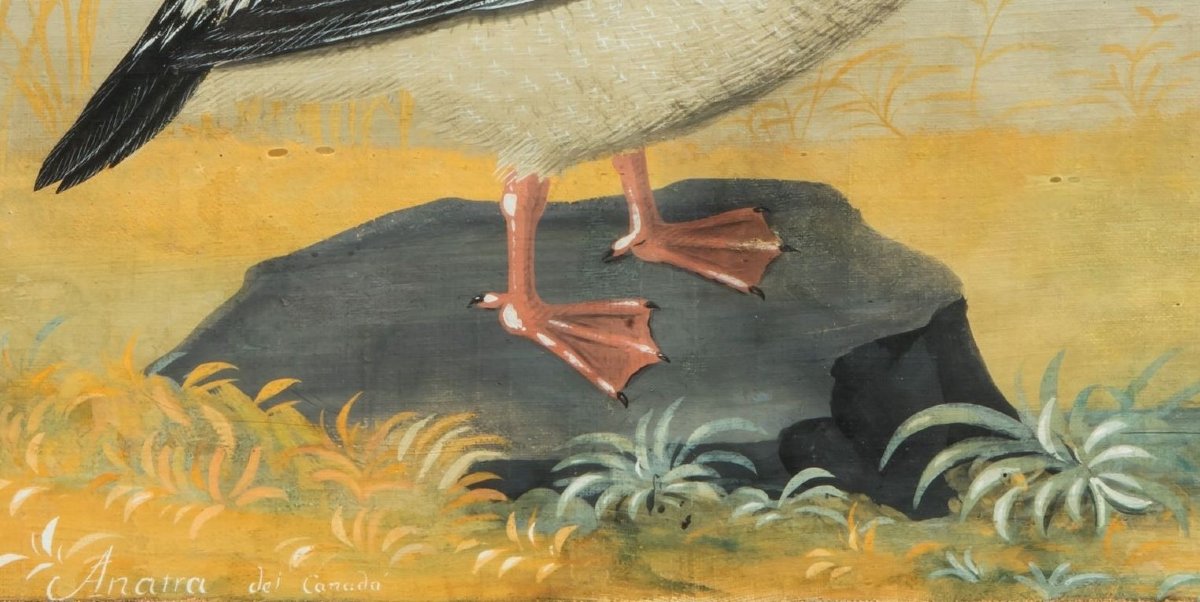 Pittore della fine del XVIII /inizi del XIX secolo (maniera dei Raineri) Fregata con libellula-photo-1