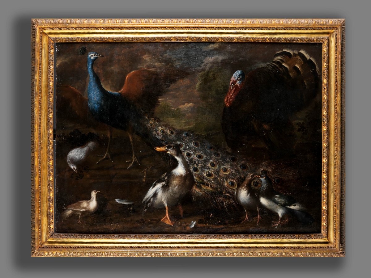 Scuola fiamminga del XVII secolo,  Natura viva con volatili