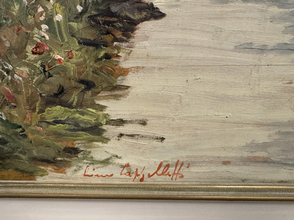 Lino Cappelletti ,  "Veduta di lago con giardini"-photo-3
