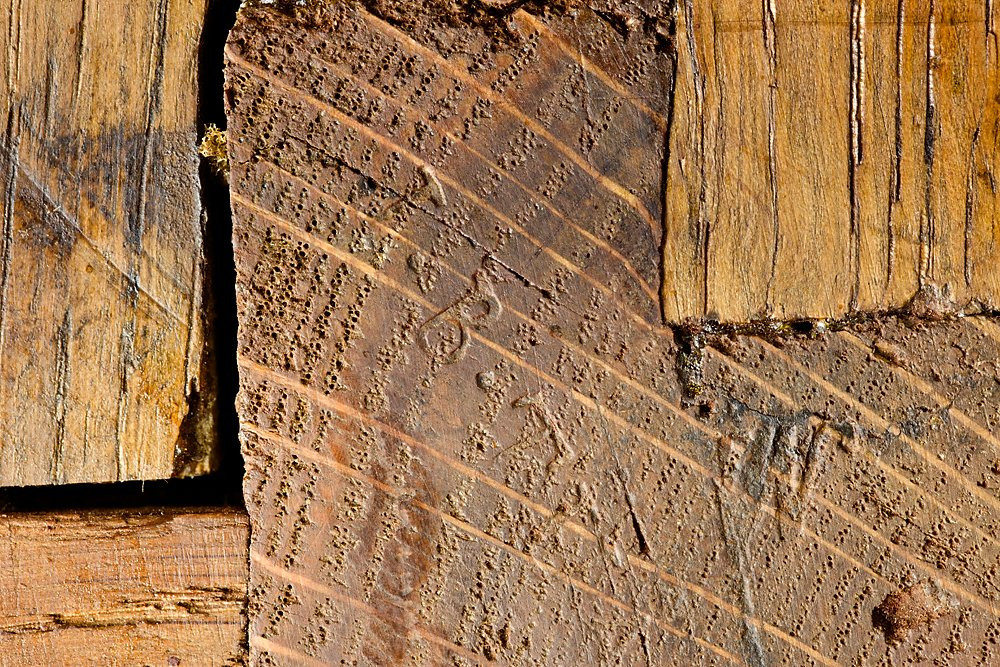 Cassettone Luigi XV - Parigi-photo-6