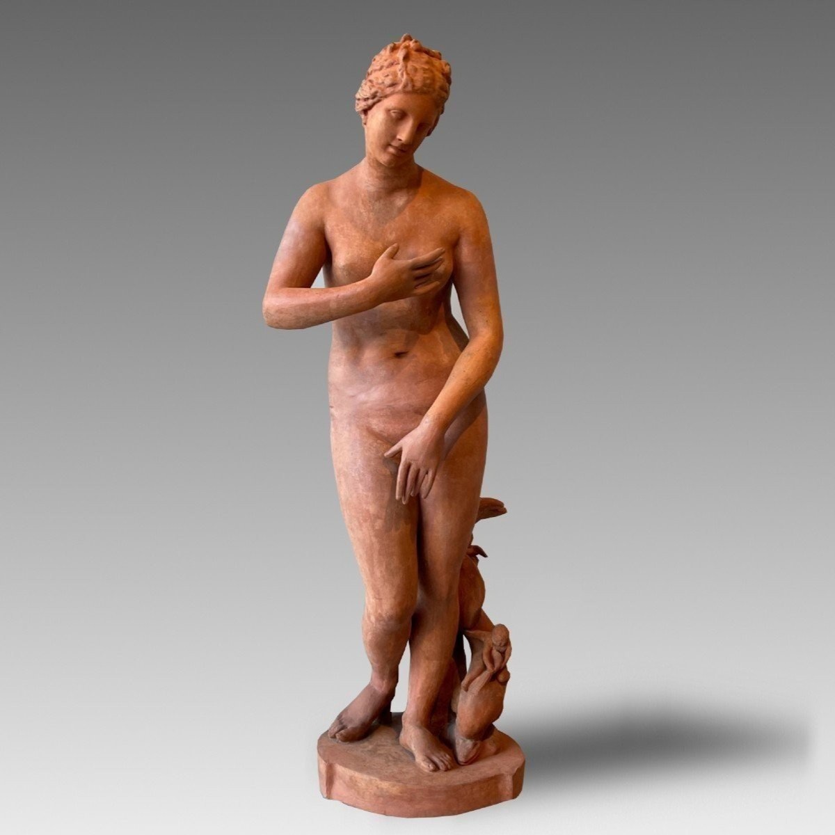 Scultura raffigurante Venere De' Medici