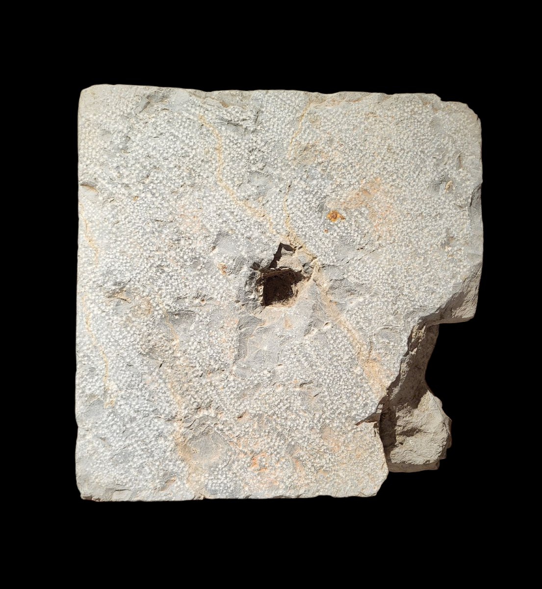 Antico capitello in pietra, Toscana, fine XV secolo-photo-4