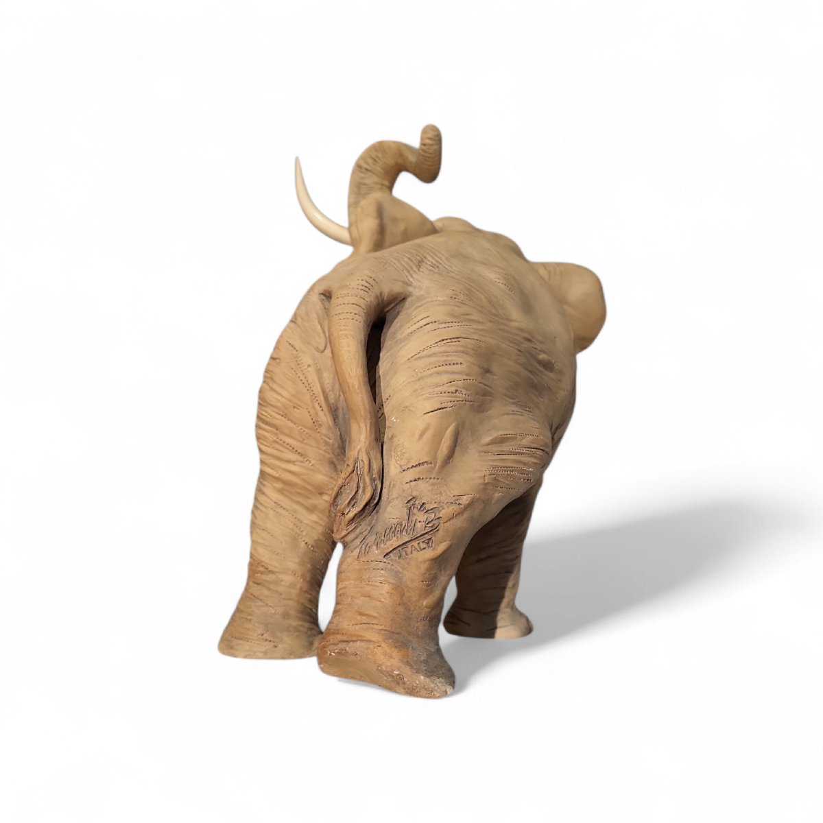 Elefante in terracotta, firmato Bruno Tornati in collaborazione per Cacciapuoti-photo-2