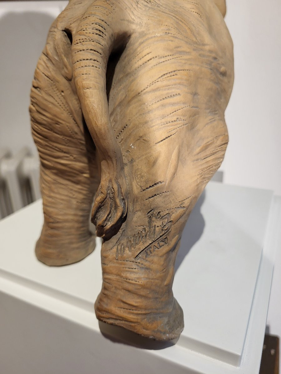 Elefante in terracotta, firmato Bruno Tornati in collaborazione per Cacciapuoti-photo-3