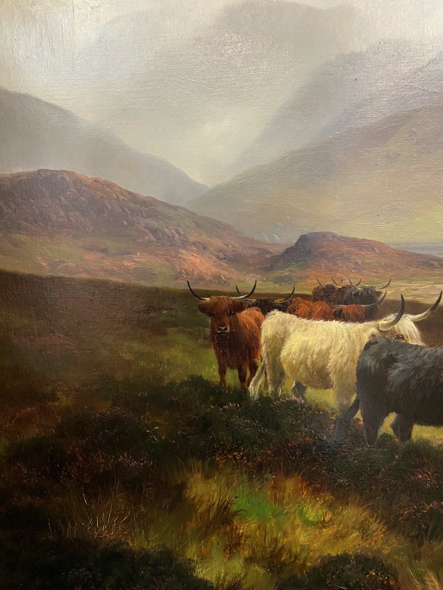 Henry Robinson Hall (1858 - 1927)  Bétail des Highlands du XIXe-photo-4