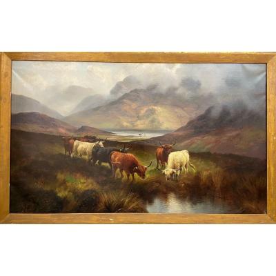 Henry Robinson Hall (1858 - 1927) Bétail des Highlands du XIXe