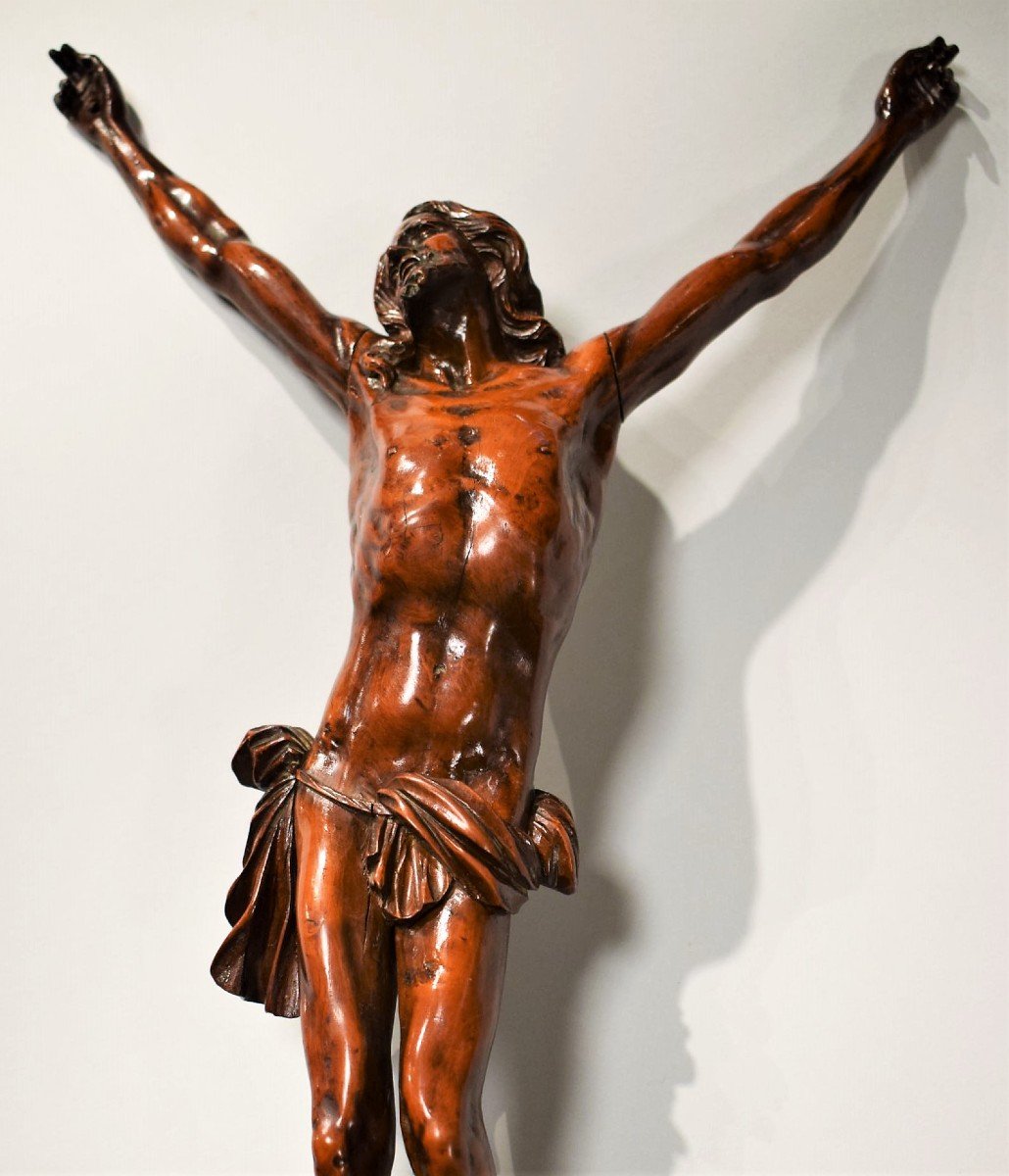 Cristo Crocifisso,  Scultura lignea in bosso, Veneto metà del XVII° secolo-photo-2