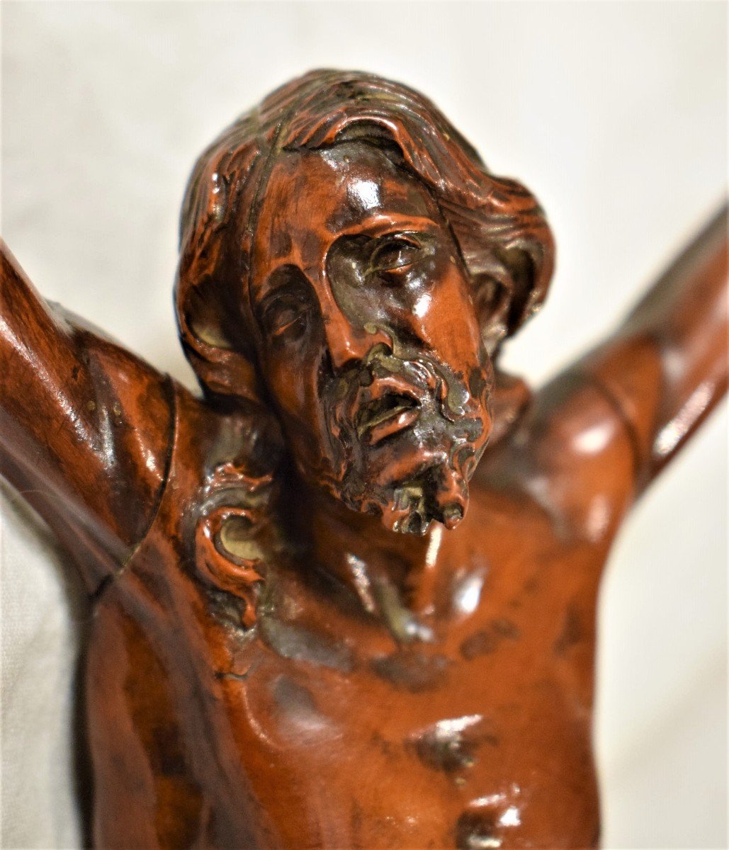 Cristo Crocifisso,  Scultura lignea in bosso, Veneto metà del XVII° secolo-photo-5