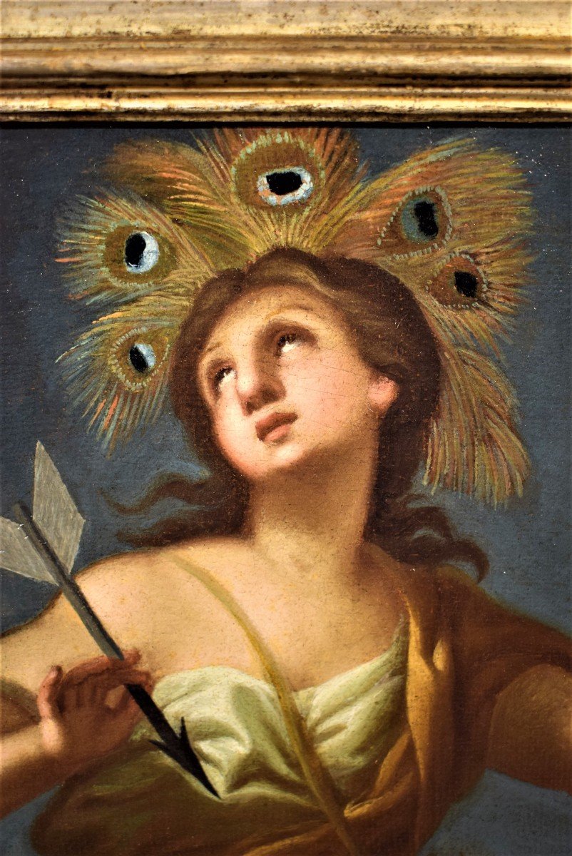 Allegoria dell'America - Francesco Trevisani (Capodistria 1656-Roma 1746) bottega-photo-4