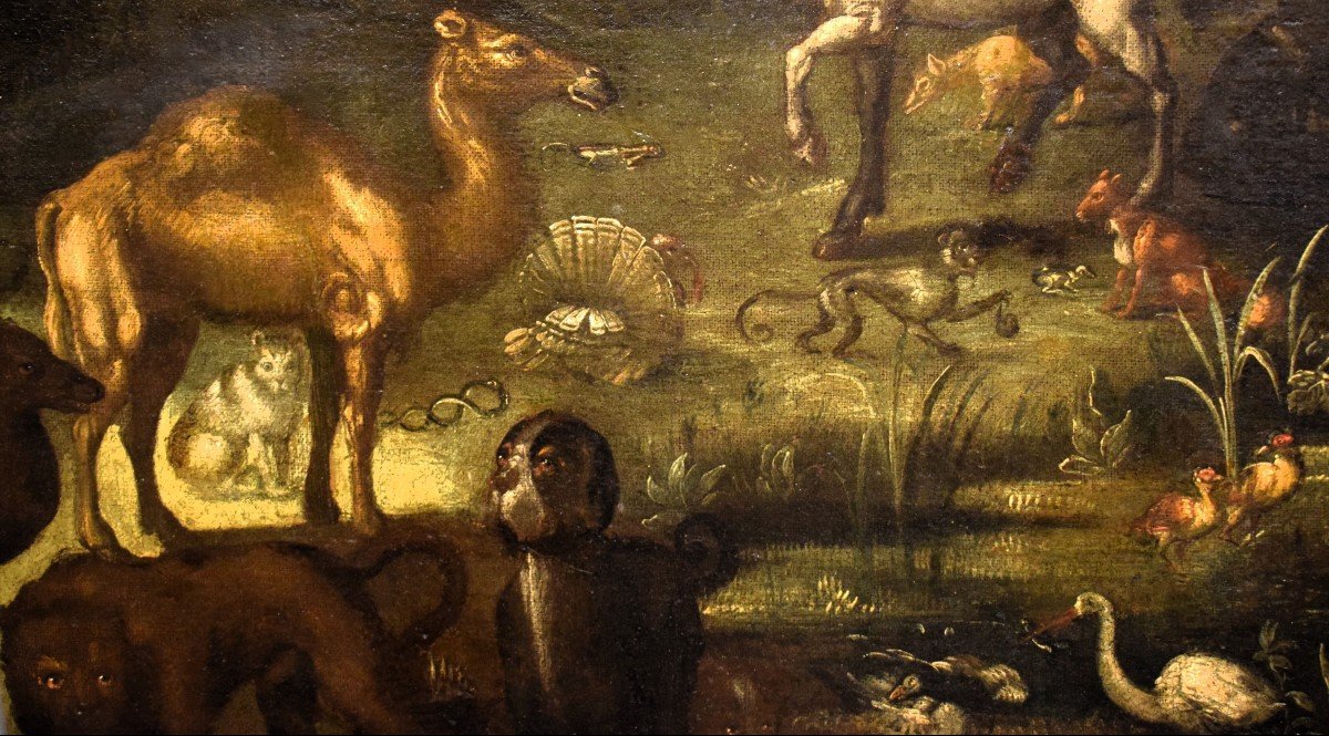 Il Paradiso Terrestre  - Jan Brueghel II° (Anversa, 1601 – 1678) bottega-photo-4