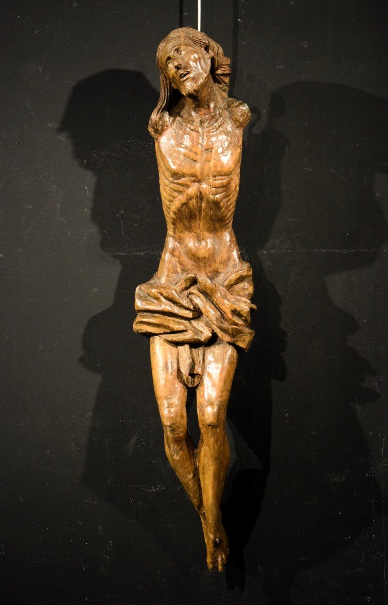 Cristo Crocifisso - Scultura lignea in tiglio - Lombardia, fine '500