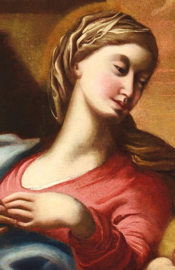 Madonna col Bambino e Cherubini - Domenico Piola (Genova 1627-1703)-photo-4