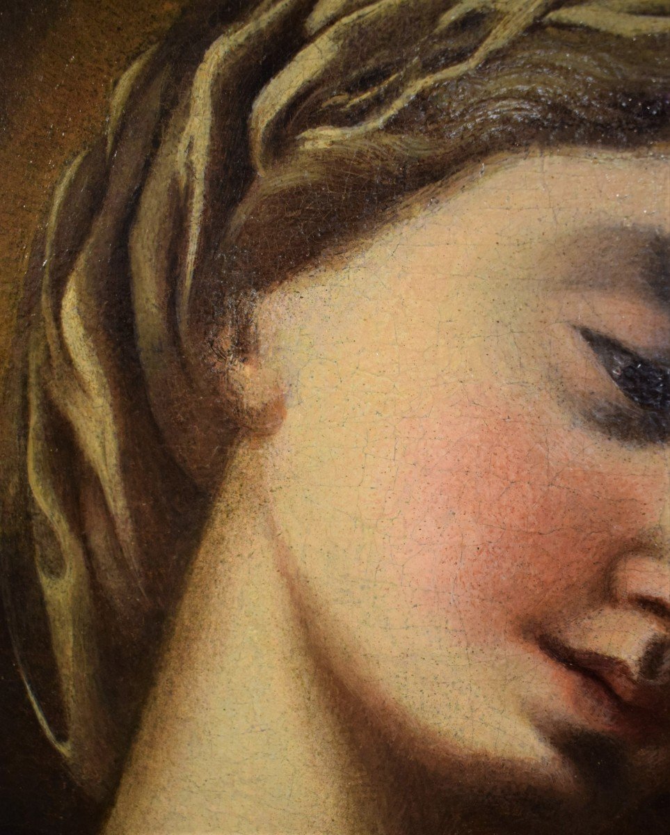 Madonna col Bambino e Cherubini - Domenico Piola (Genova 1627-1703)-photo-5
