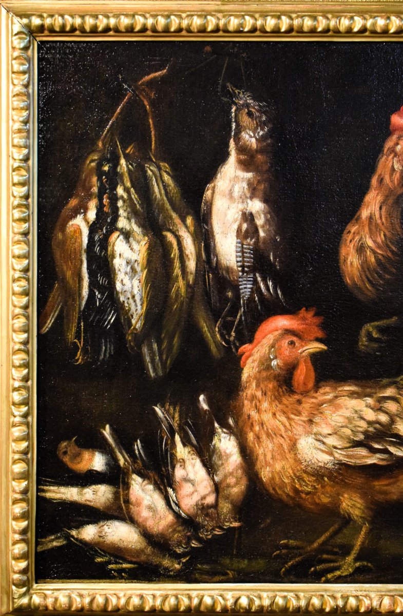 Natura morta con galli e cacciagione -  Angelo Maria Crivelli (Milano1660-1730)-photo-2