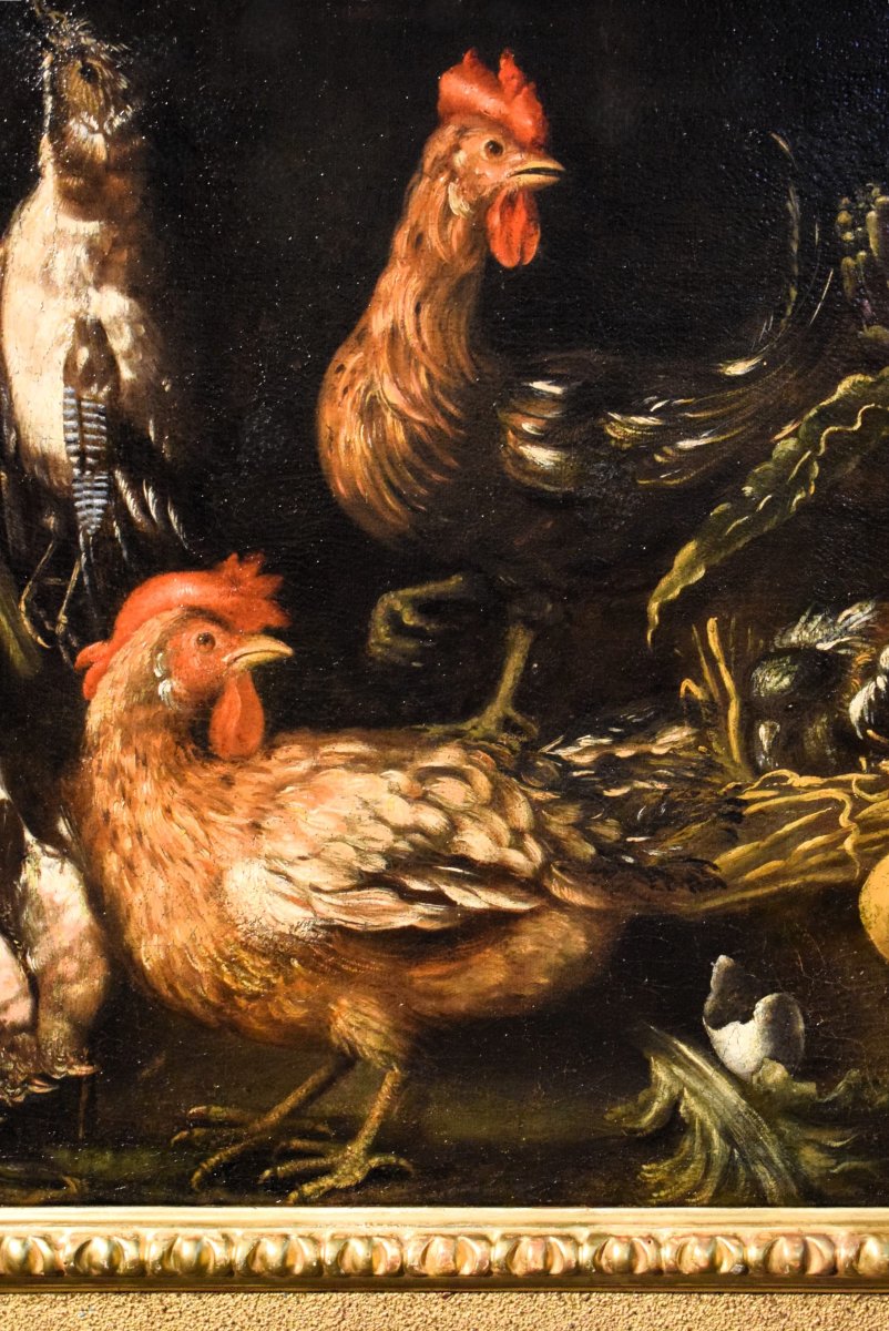 Natura morta con galli e cacciagione -  Angelo Maria Crivelli (Milano1660-1730)-photo-3