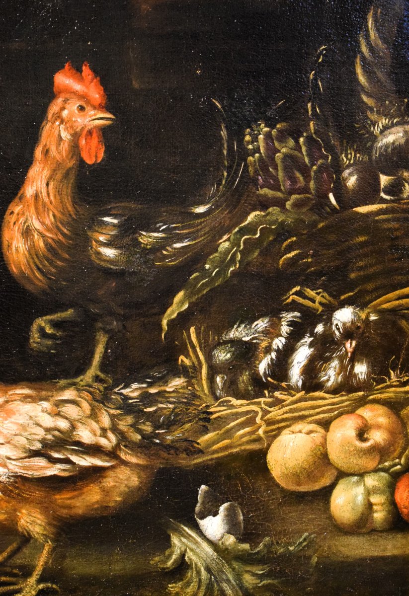 Natura morta con galli e cacciagione -  Angelo Maria Crivelli (Milano1660-1730)-photo-4
