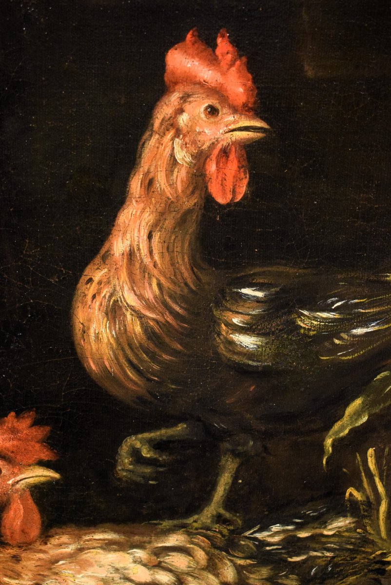 Natura morta con galli e cacciagione -  Angelo Maria Crivelli (Milano1660-1730)-photo-2