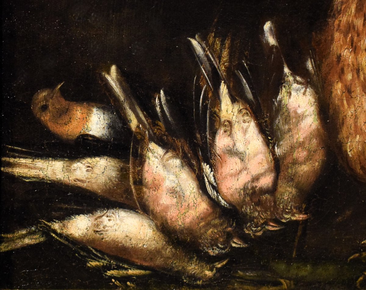 Natura morta con galli e cacciagione -  Angelo Maria Crivelli (Milano1660-1730)-photo-3