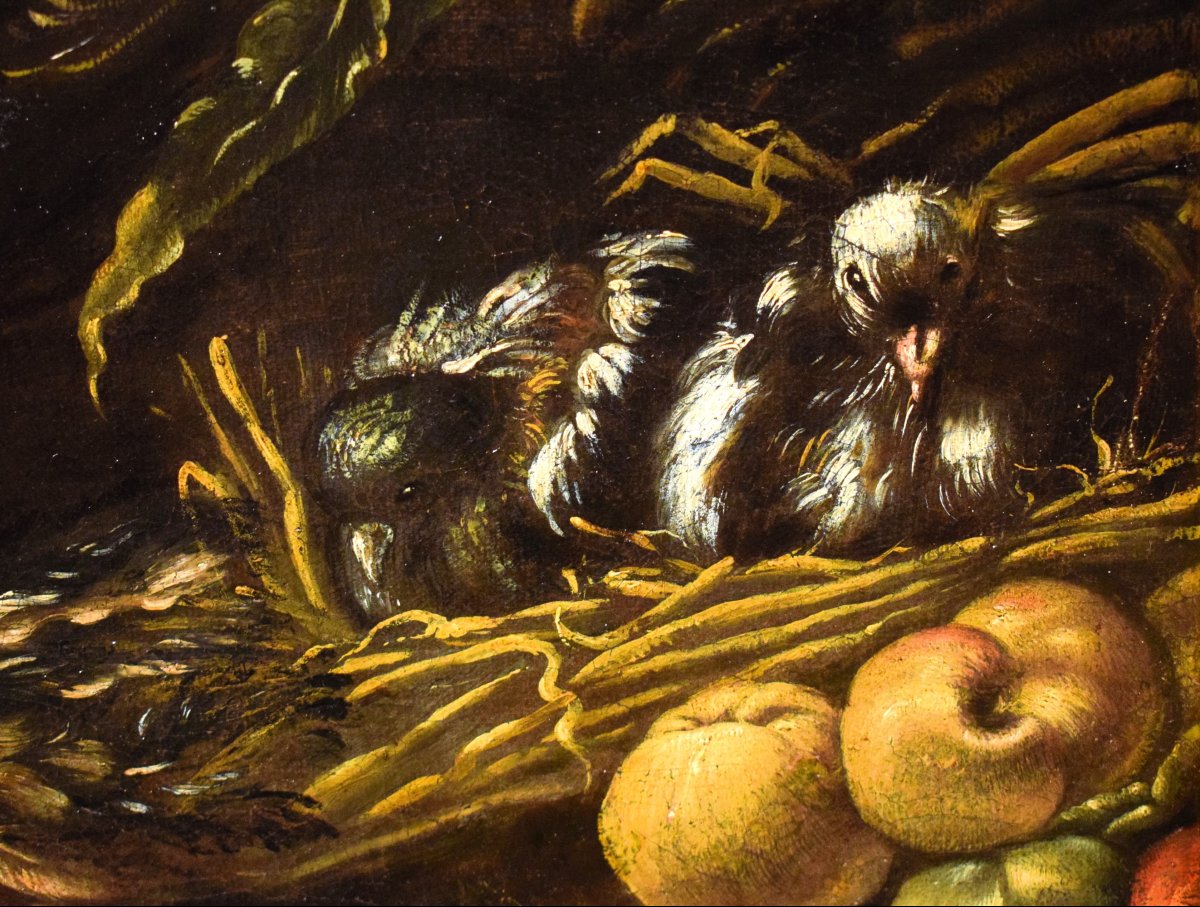 Natura morta con galli e cacciagione -  Angelo Maria Crivelli (Milano1660-1730)-photo-4