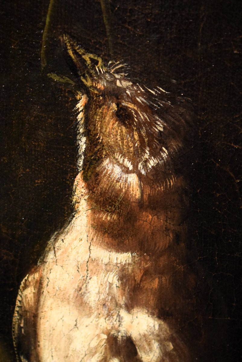 Natura morta con galli e cacciagione -  Angelo Maria Crivelli (Milano1660-1730)-photo-7