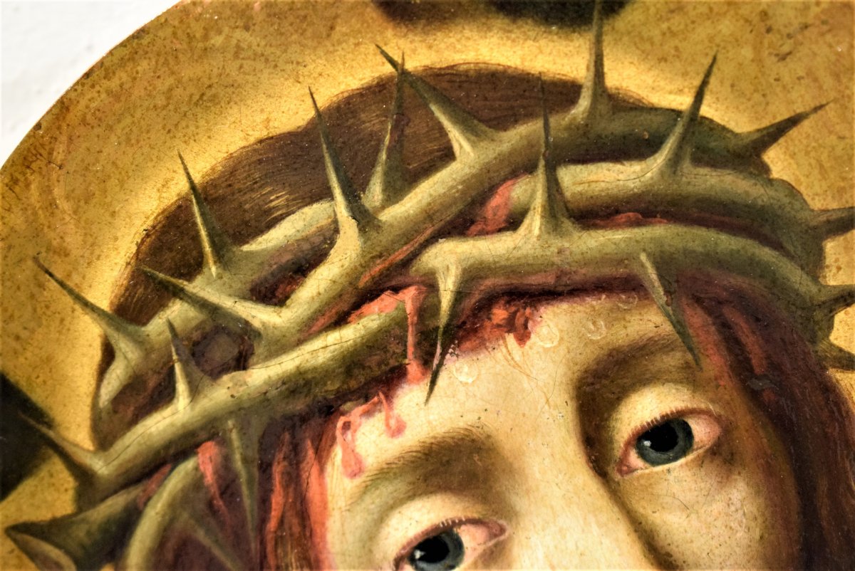 Christ - Michael Coxie (Malines 1499-1592) Huile sur cuivre-photo-3