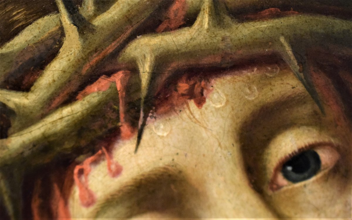 Christ - Michael Coxie (Malines 1499-1592) Huile sur cuivre-photo-7