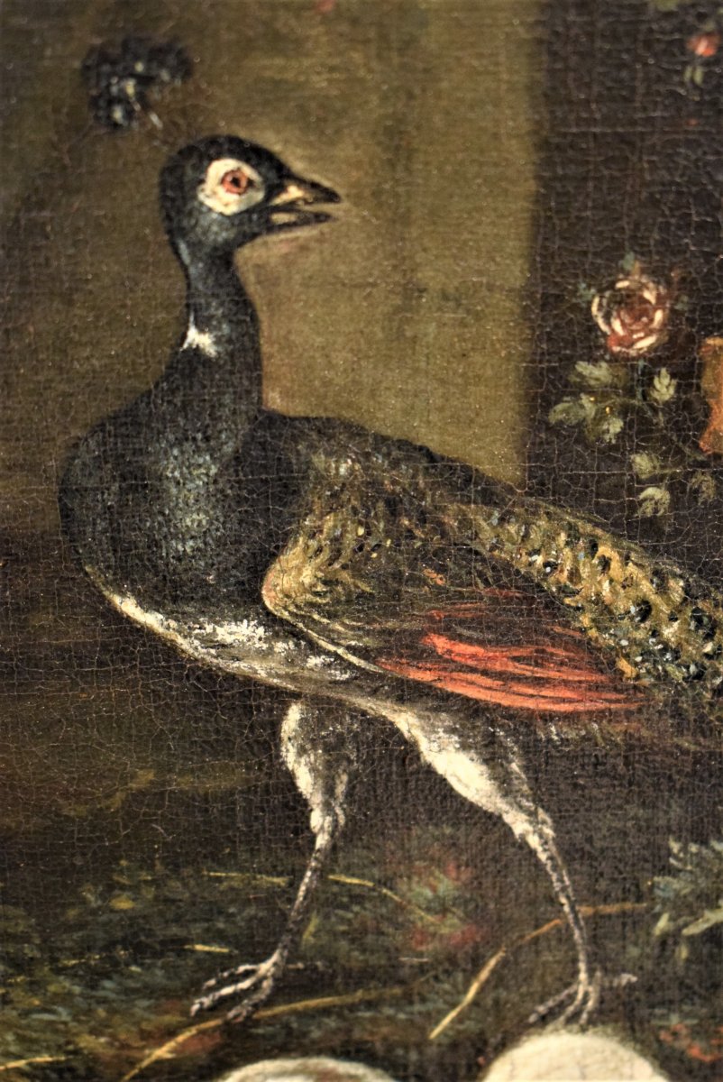 "Cour avec animaux et fleurs" ècole Flamand du XVIIème-photo-7