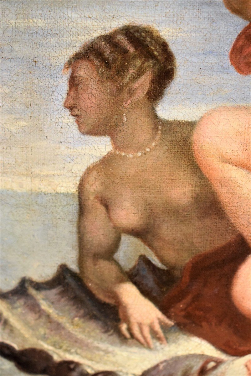    Galatée-  école Française Du XVIIIème -photo-2