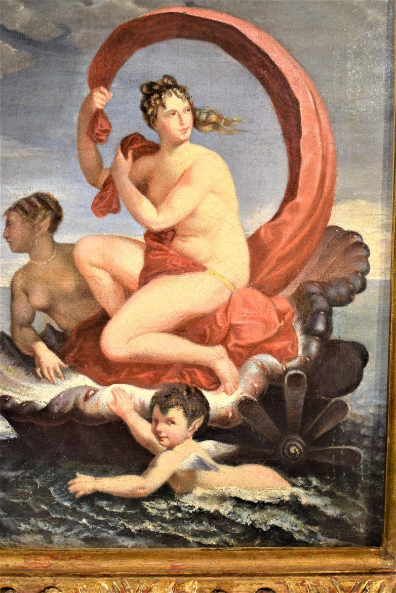    Galatée-  école Française Du XVIIIème -photo-4
