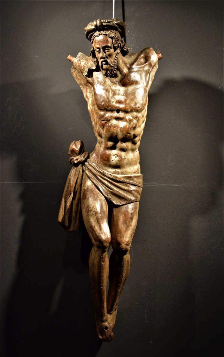Christ Crucifié  en bois de Noyer  du  XVIe Siècle