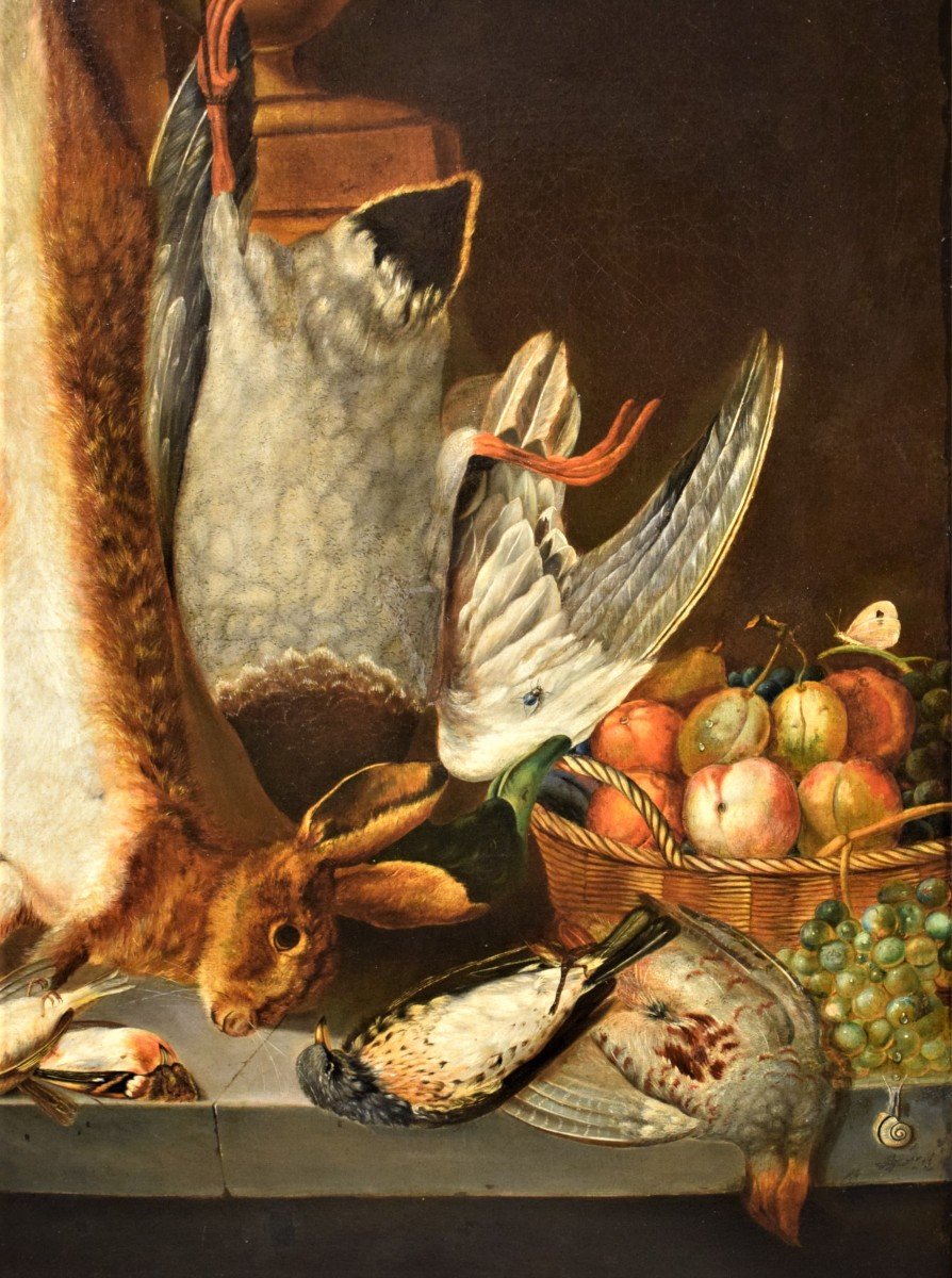 Nature Morte de Gibier et fruits - Jean-Baptiste Oudry (Paris1686 -1755)-photo-2