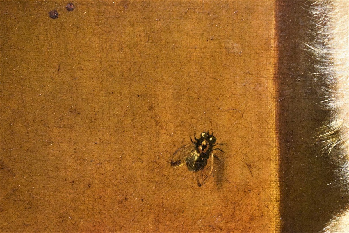 Nature Morte de Gibier et fruits - Jean-Baptiste Oudry (Paris1686 -1755)-photo-7