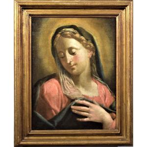 Vergine Annunciata - Francesco de Mura (Napoli 1696-1782) bottega 