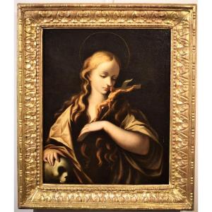 Maria Maddalena Penitente -  Scuola emiliana  del XVII°